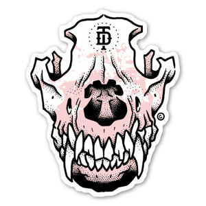 Doberman dog skull